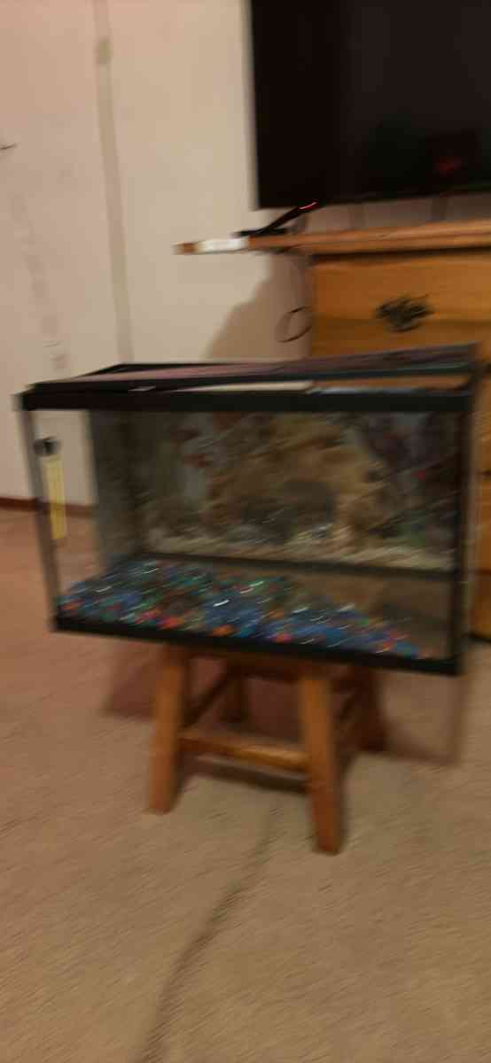 medium size fish tank