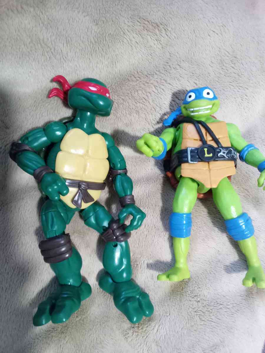 Ninja turtles