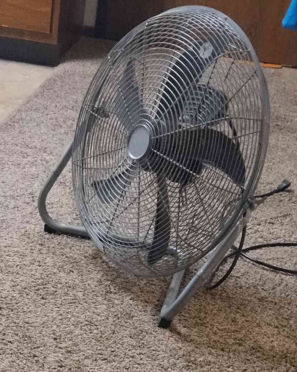 Large Gray  Fan