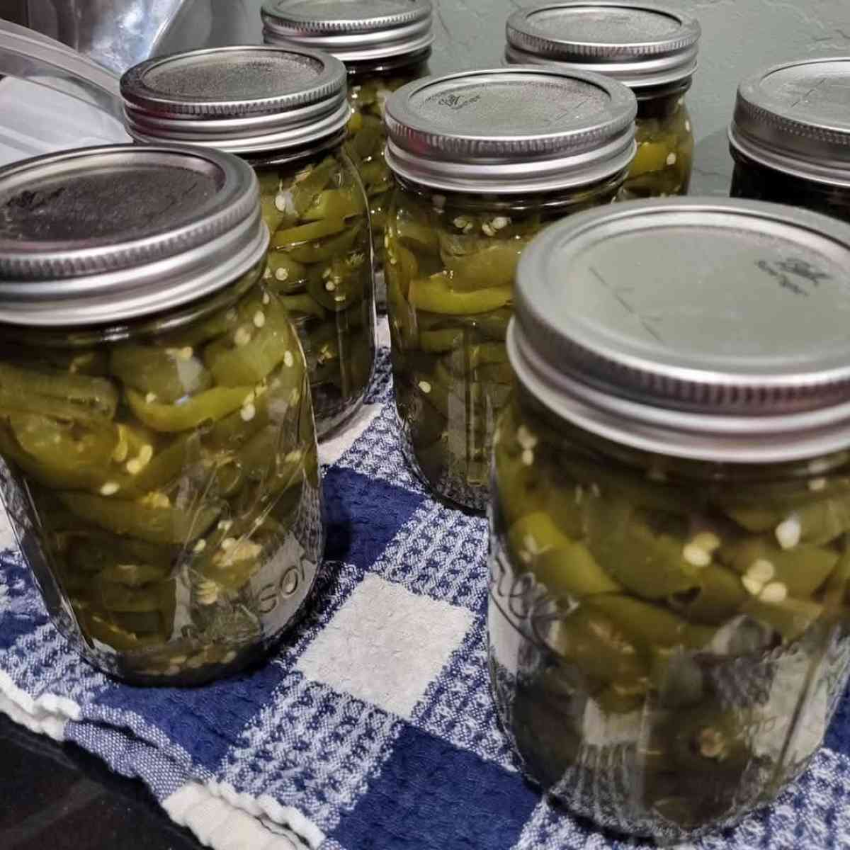 Save the date Jammin Gina and More Grand Opening Event