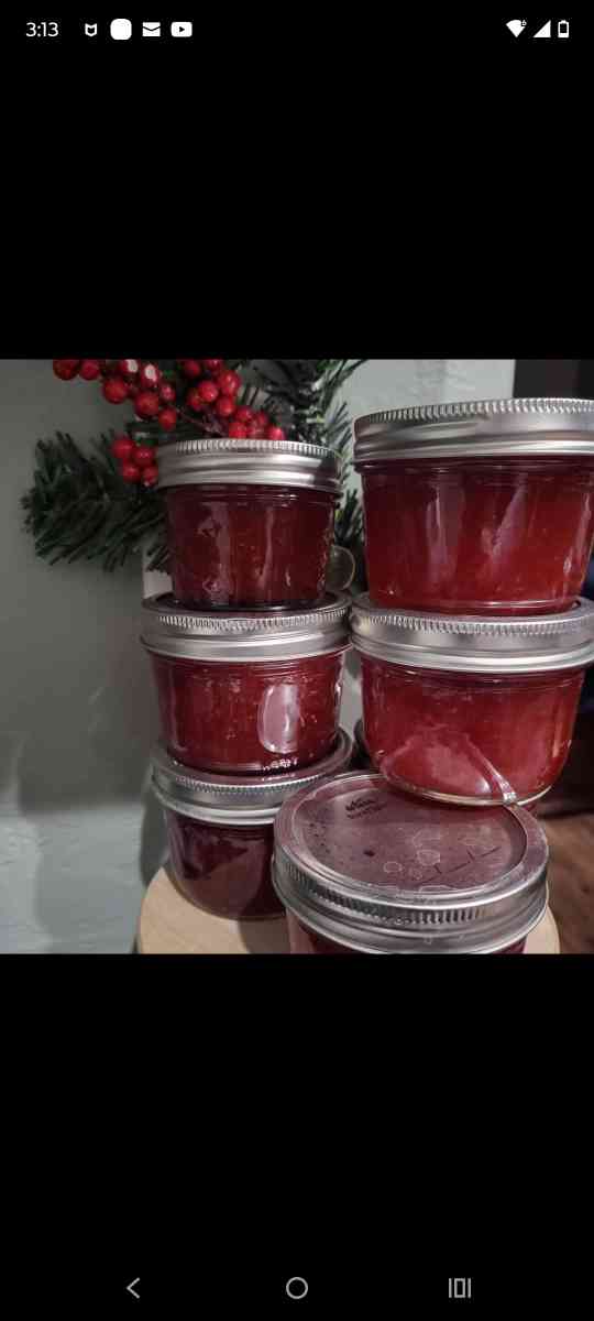 Save the date Jammin Gina and More Grand Opening Event