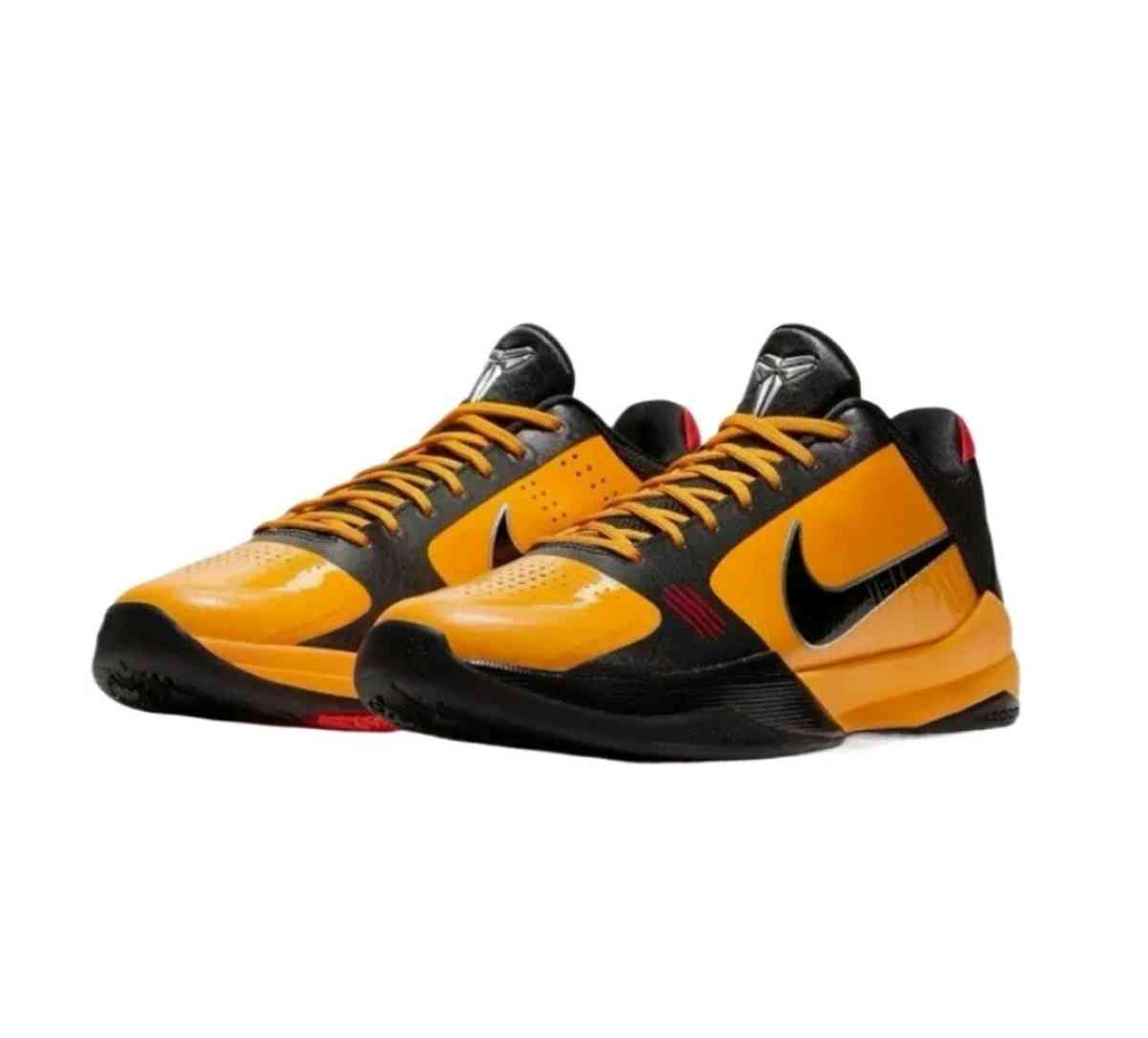 Zoom Kobe 5 Protro Bruce Lee size 10