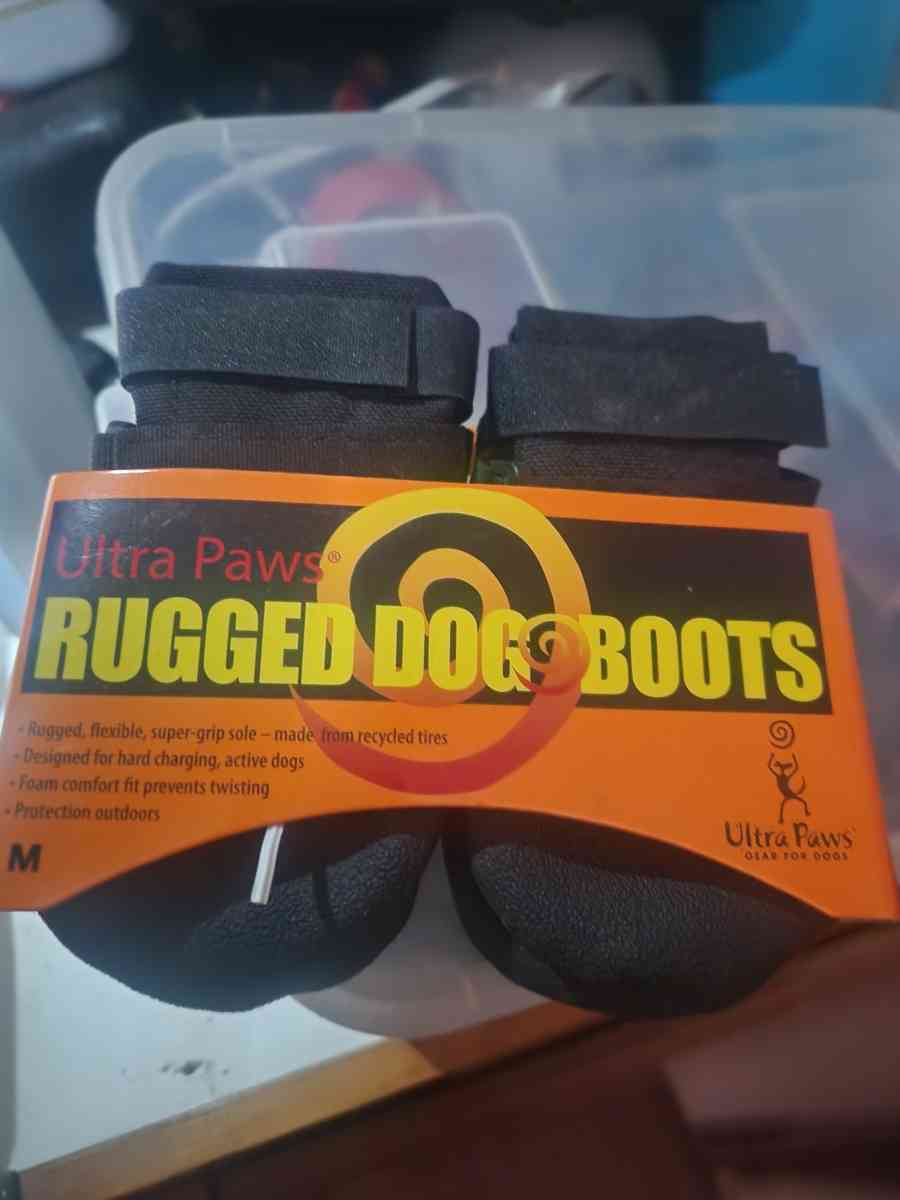 medium dog boots
