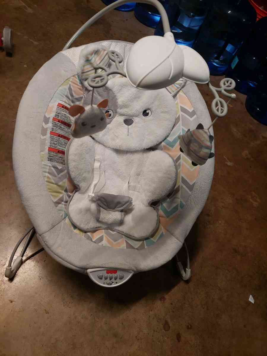FisherPrice Sweet Snugapuppy Deluxe Bouncer portable bouncin