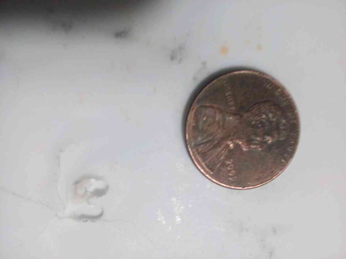 flea market 2009 penny or or best offer