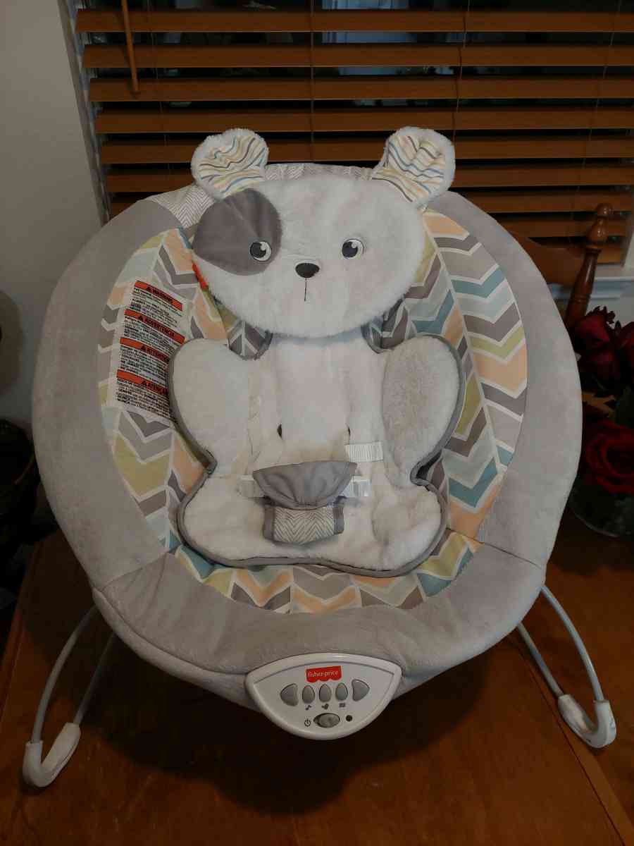 FisherPrice Sweet Snugapuppy Deluxe Bouncer portable bouncin
