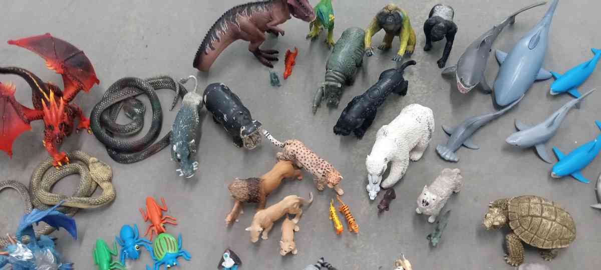 the collection of dinosaurs and more animals