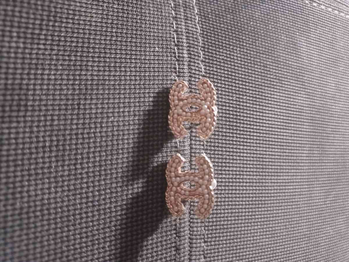 earringsthese are double c earrings super cute real unsure