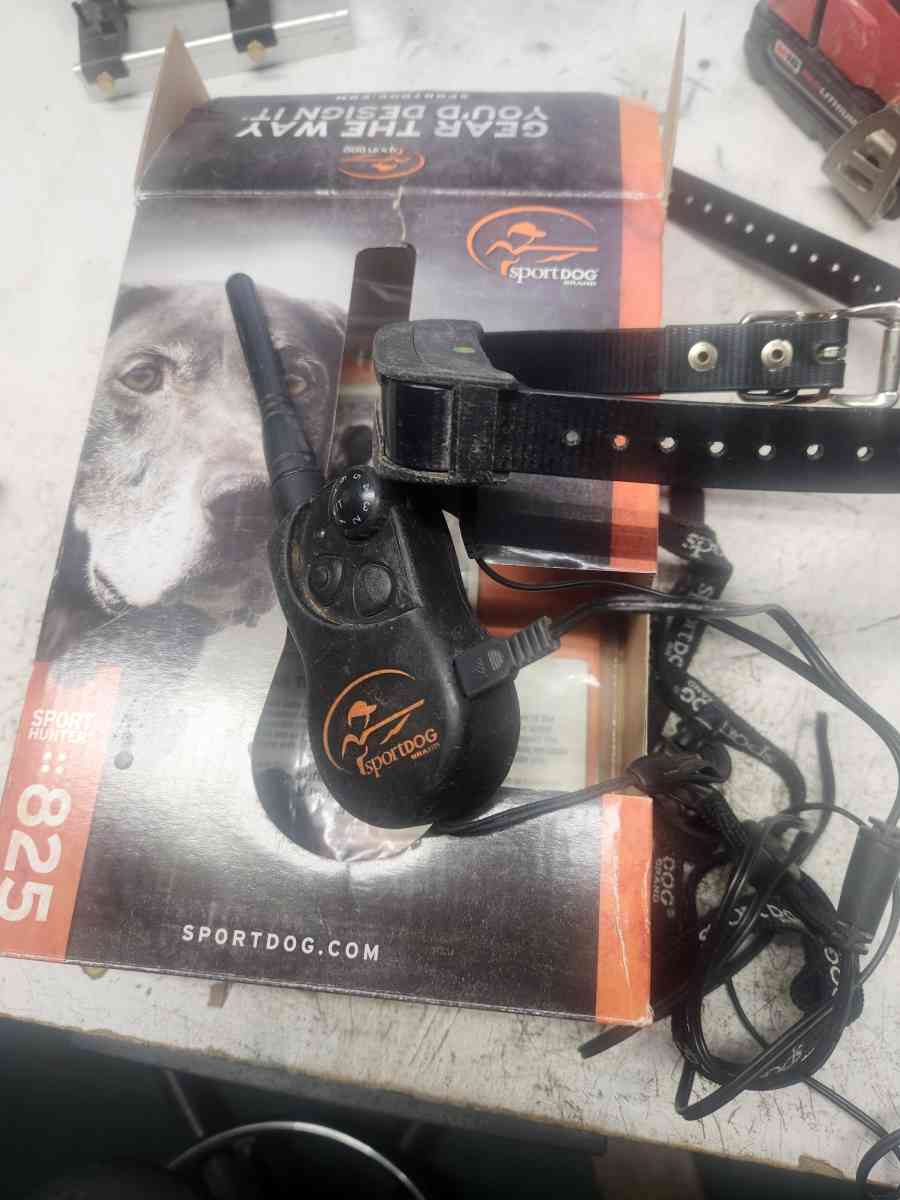 dog training collar
