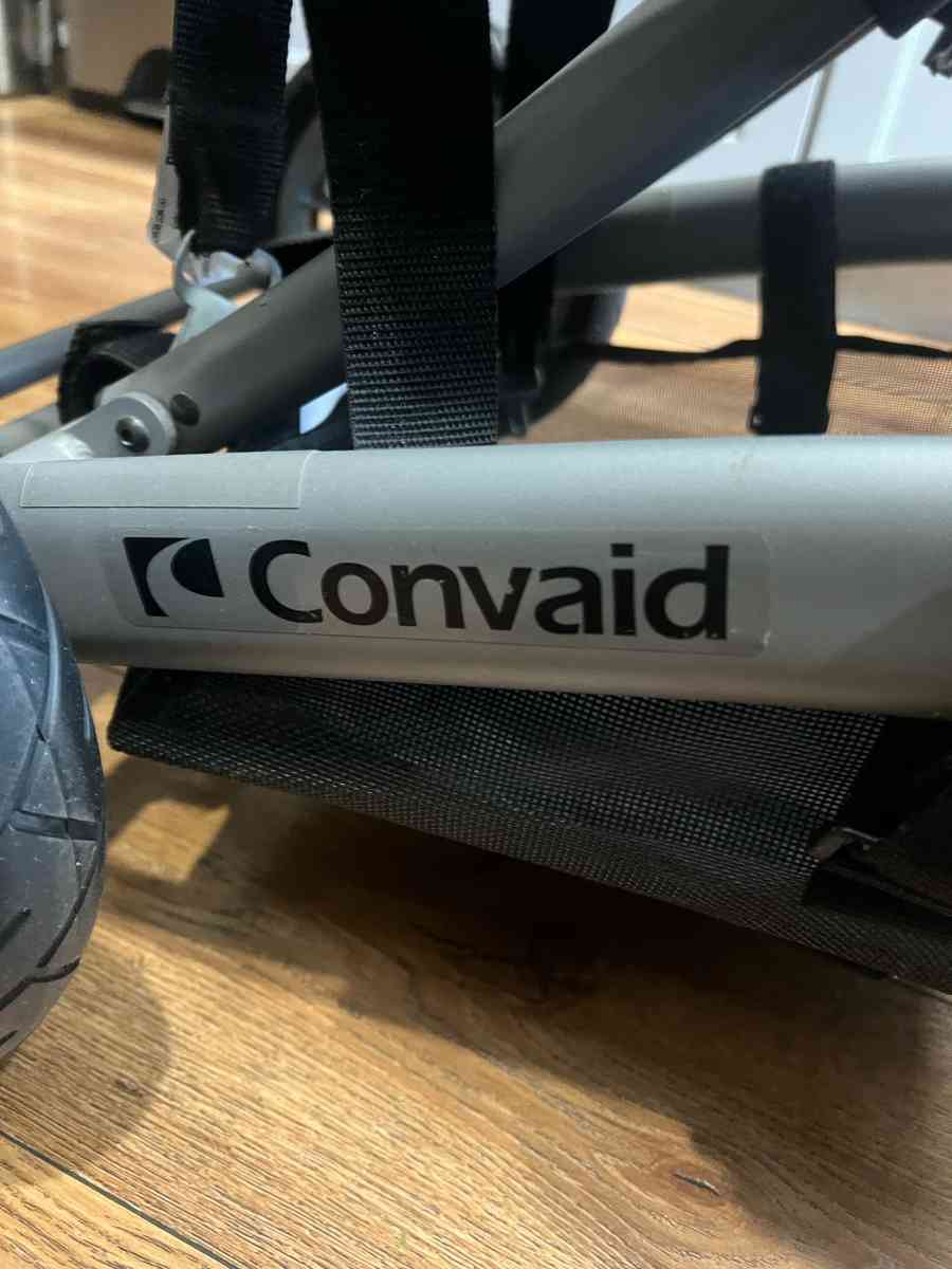 convida stroller for special needs
