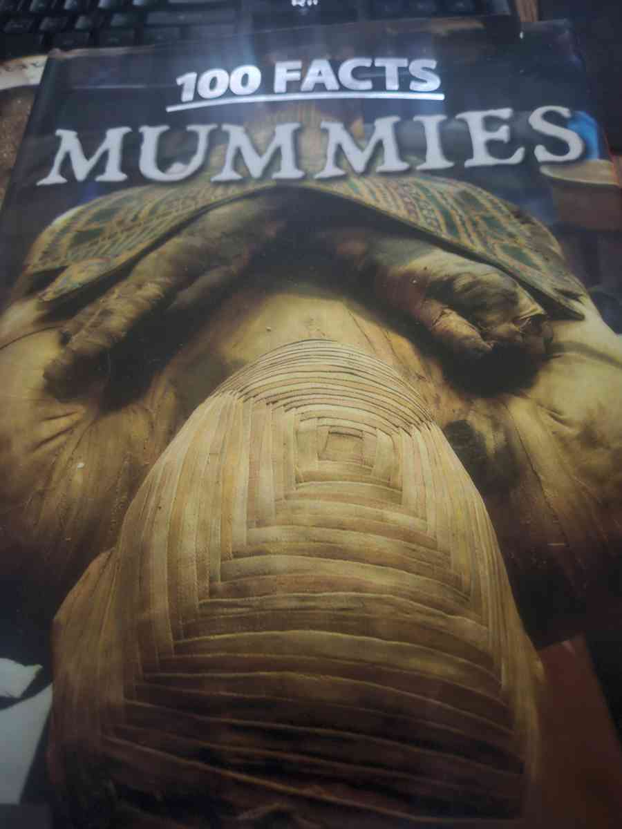 100 facts mummies