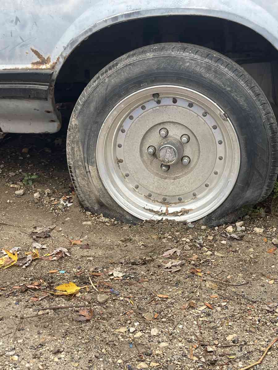 FORD MUSTUNG 82 FOXBODY