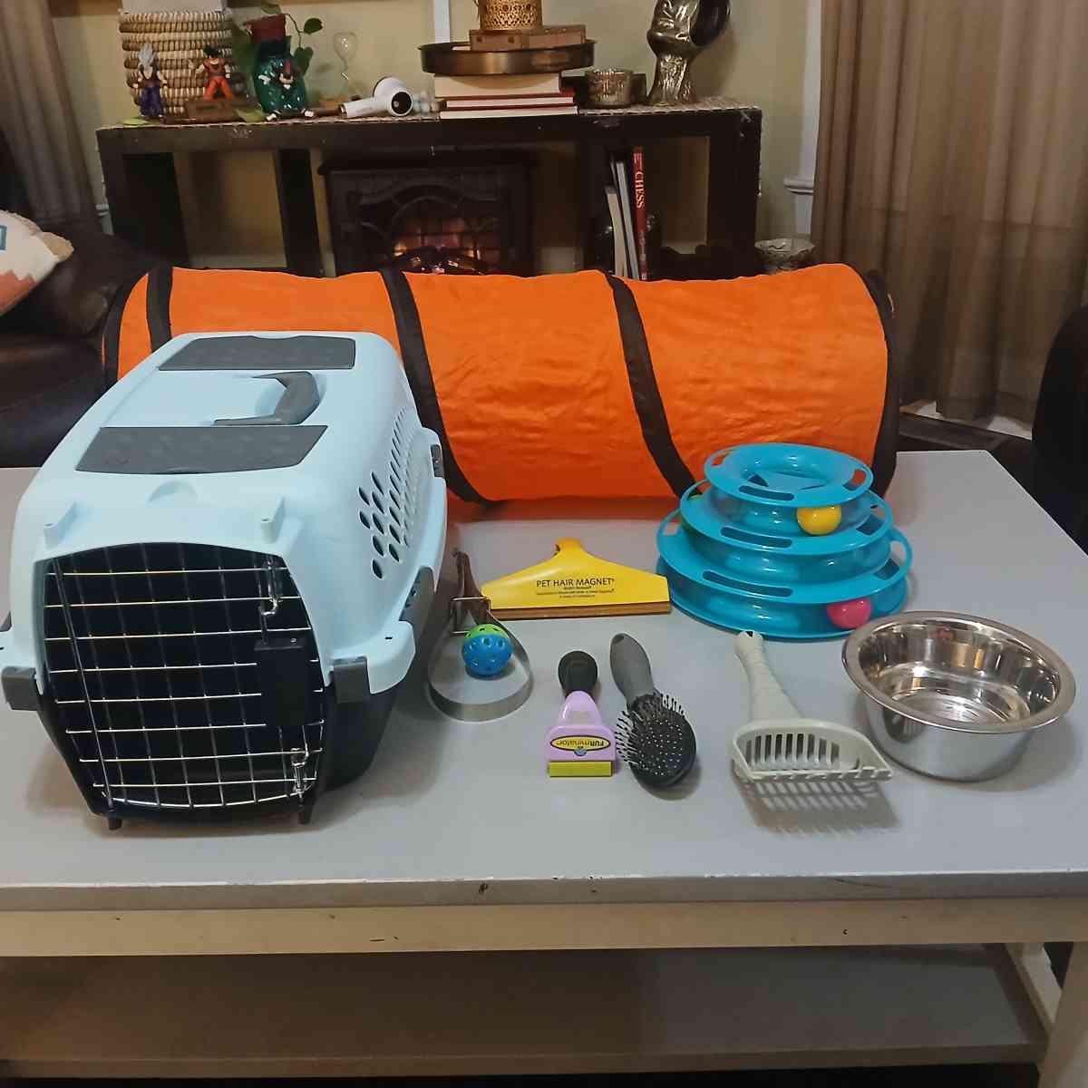 Aspenpet Pet Taxi Kennel with accessories