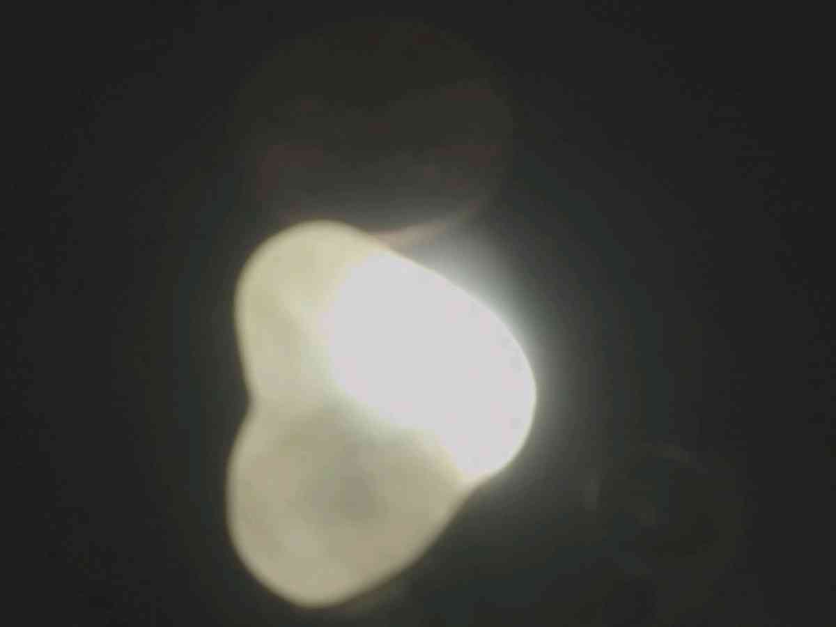 heart shaped water Opal