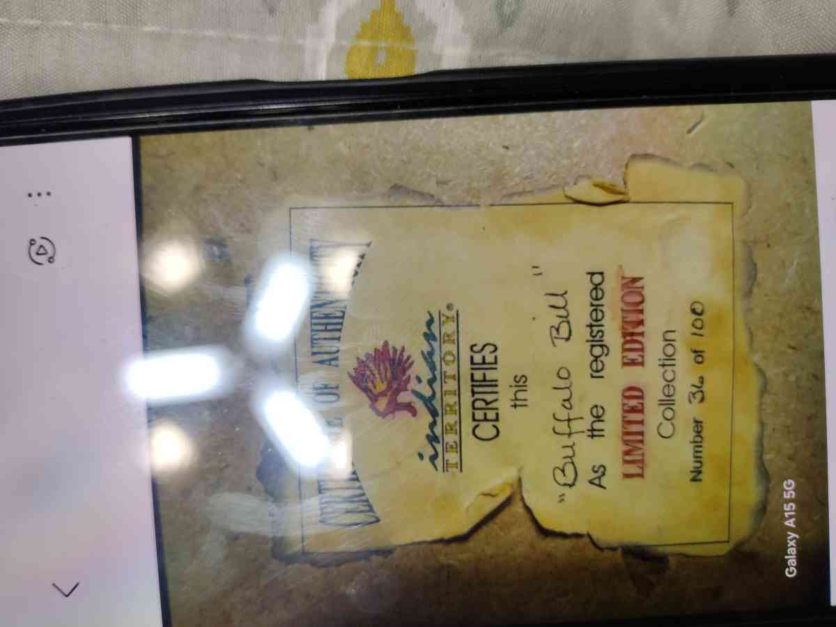 Buffalo Bills Collectors Case