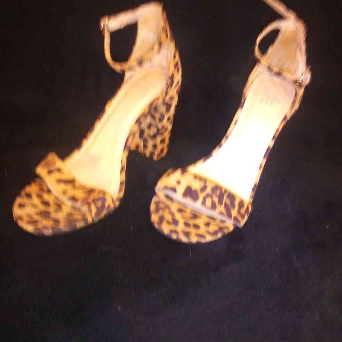 A New Day Size 7 and a half