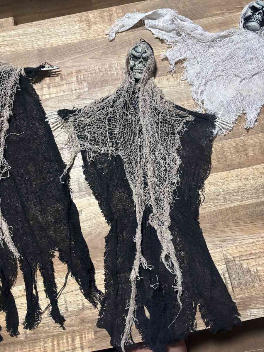 Hanging skeletons
