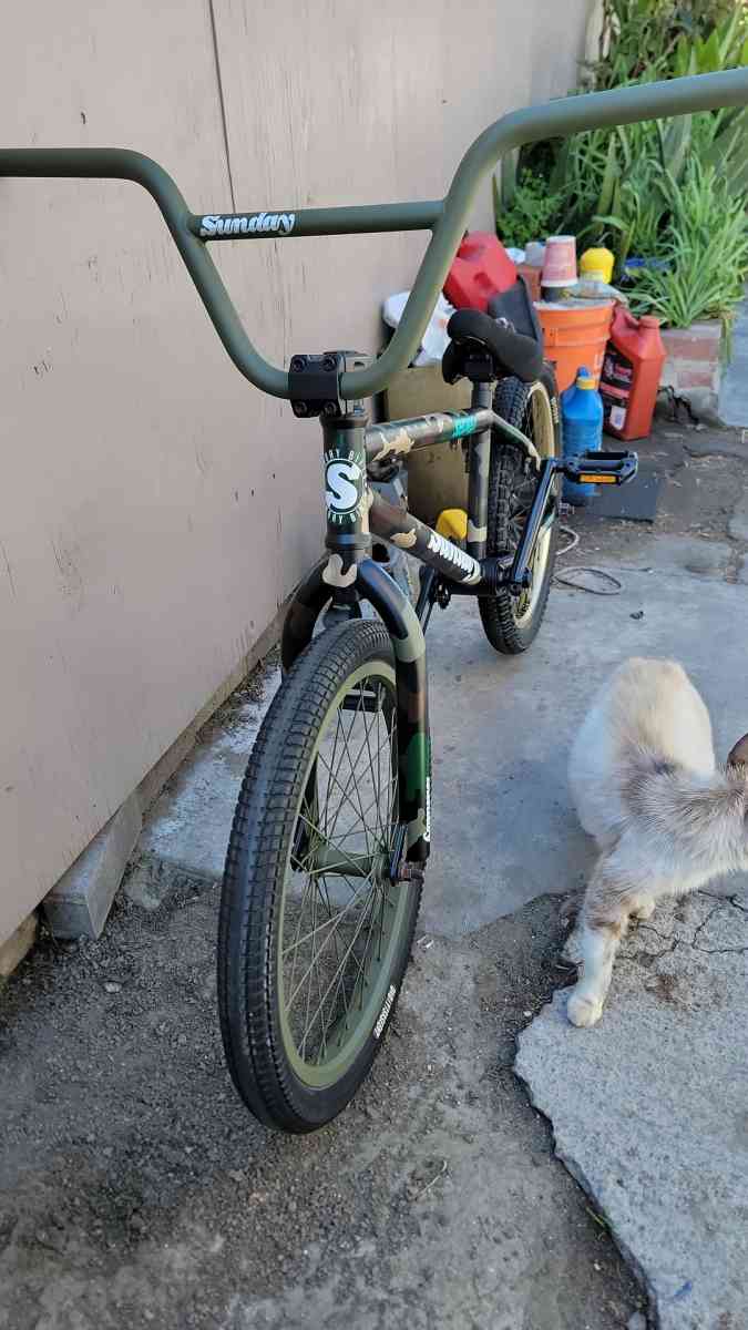 20 inch sunday blueprint in very good condition