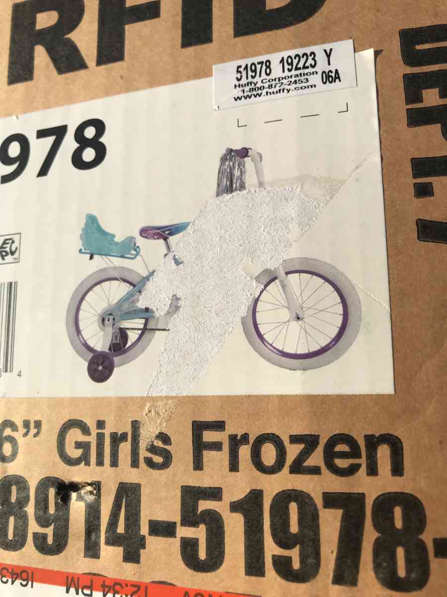 16 in frozen bicycle
