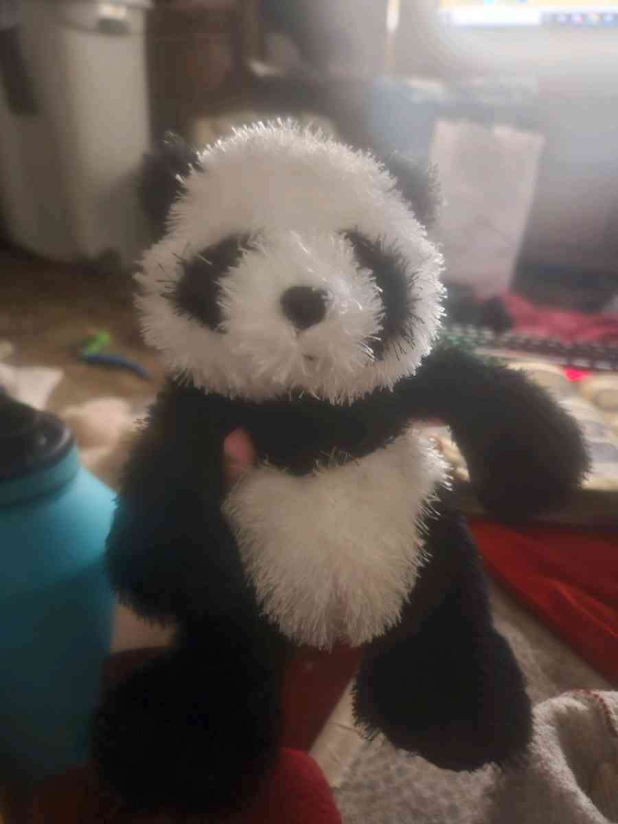 panda