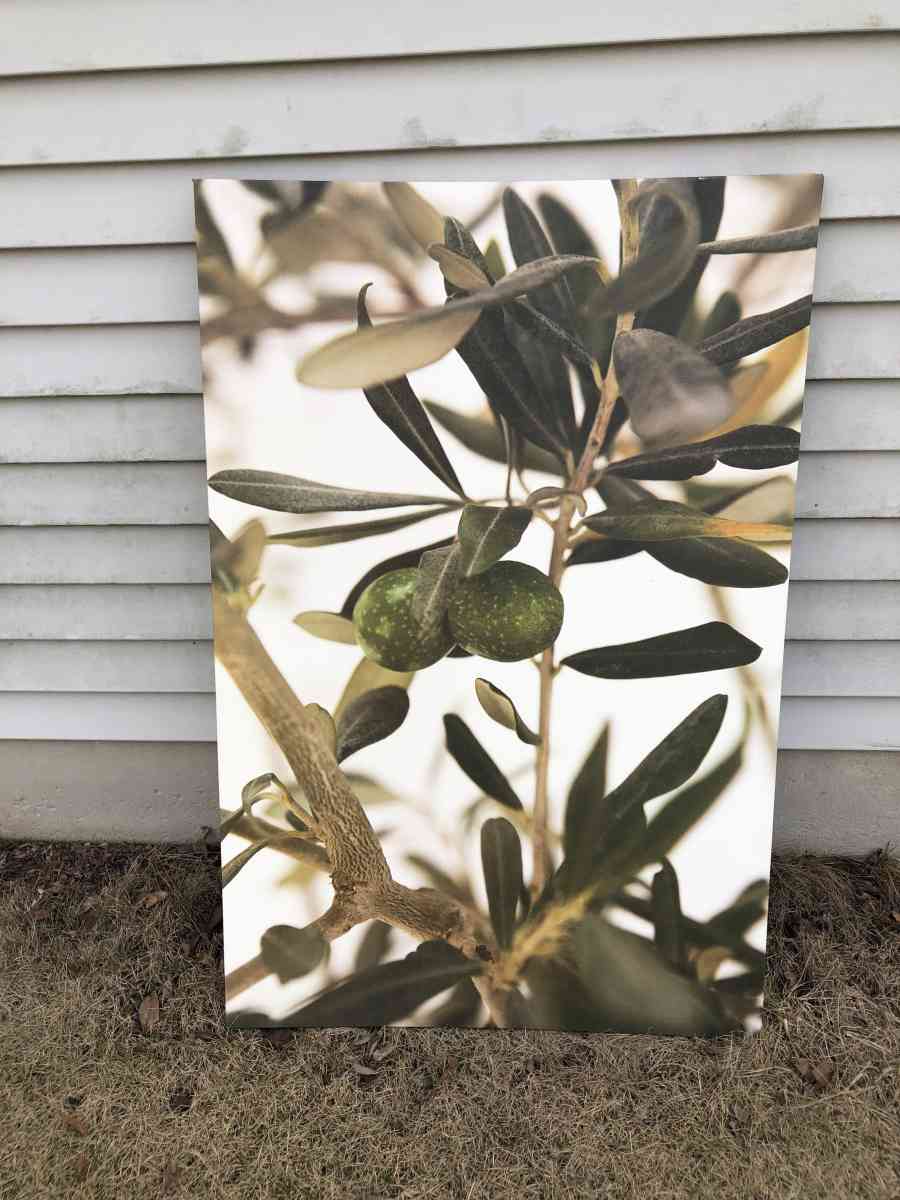 IKEA Olive branch canvas 30 x46