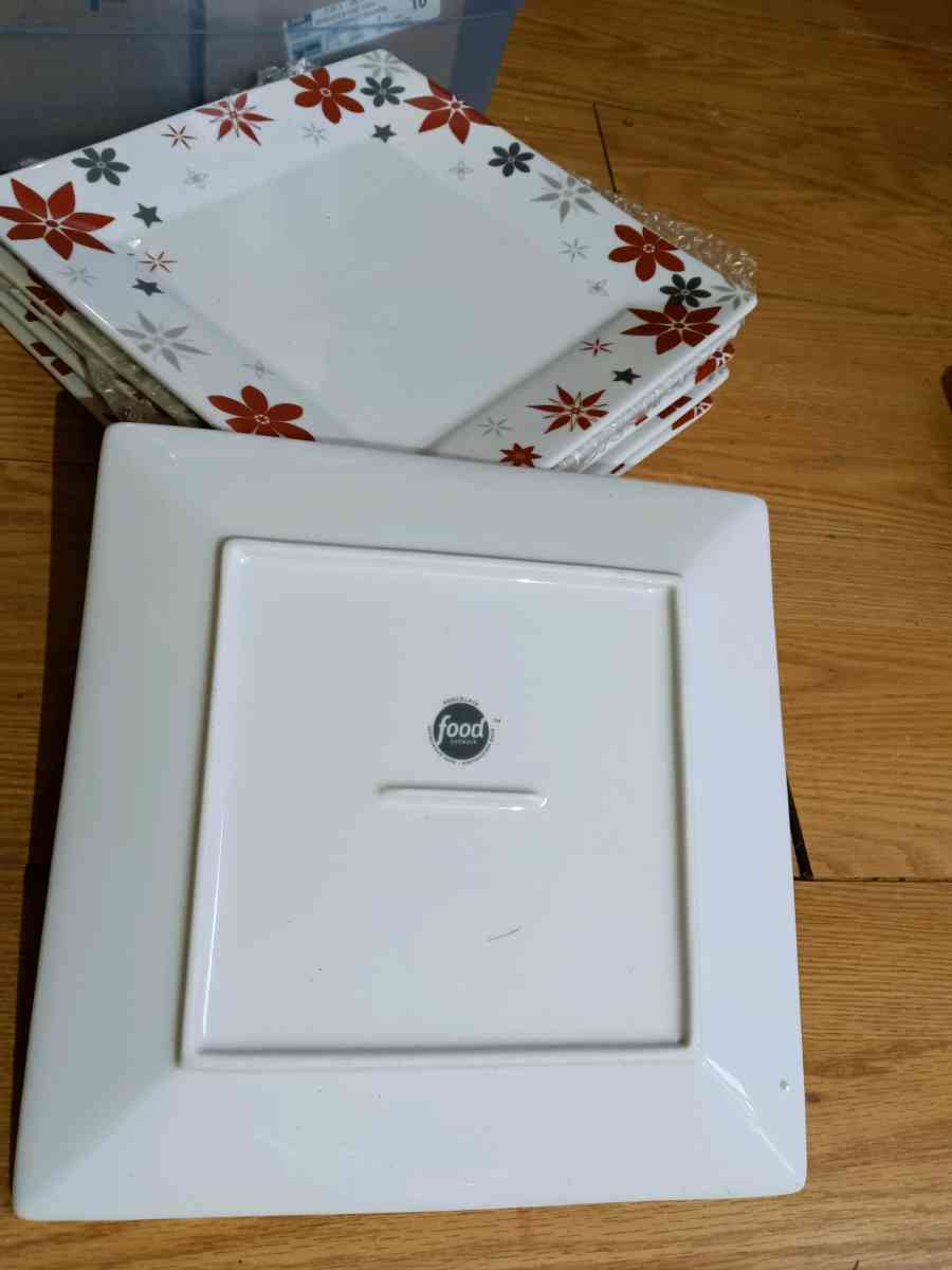 Food Network LINZER STAR 10 Sq Dinner Plate Set 4 Confetti R