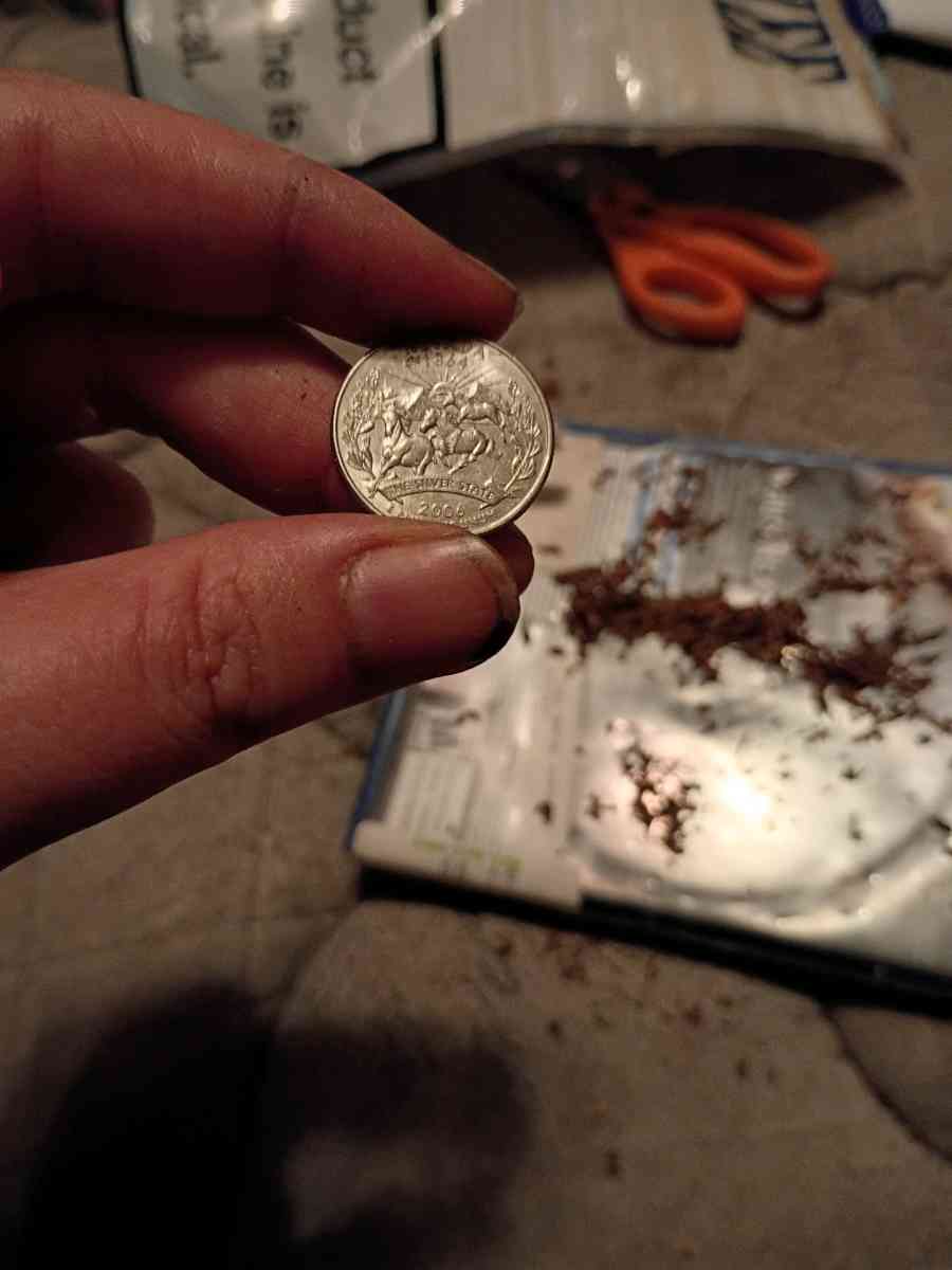 old 2006 Nebraska and Nevada quaters