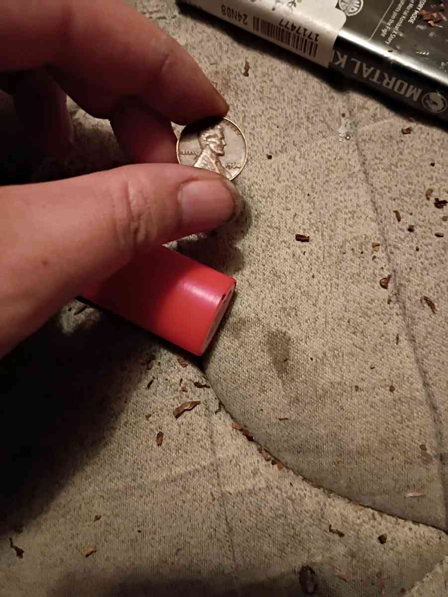 old 2006 Nebraska and Nevada quaters