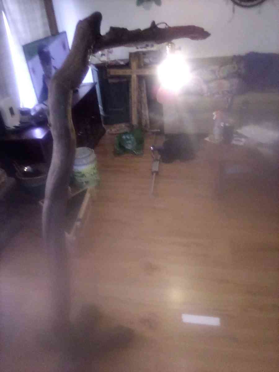 custom driftwood floor lamp