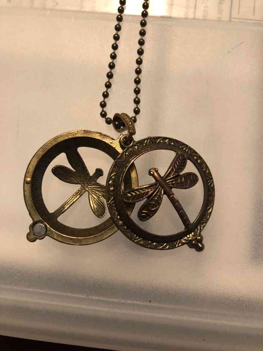 It is a double sided dragonfly magnet