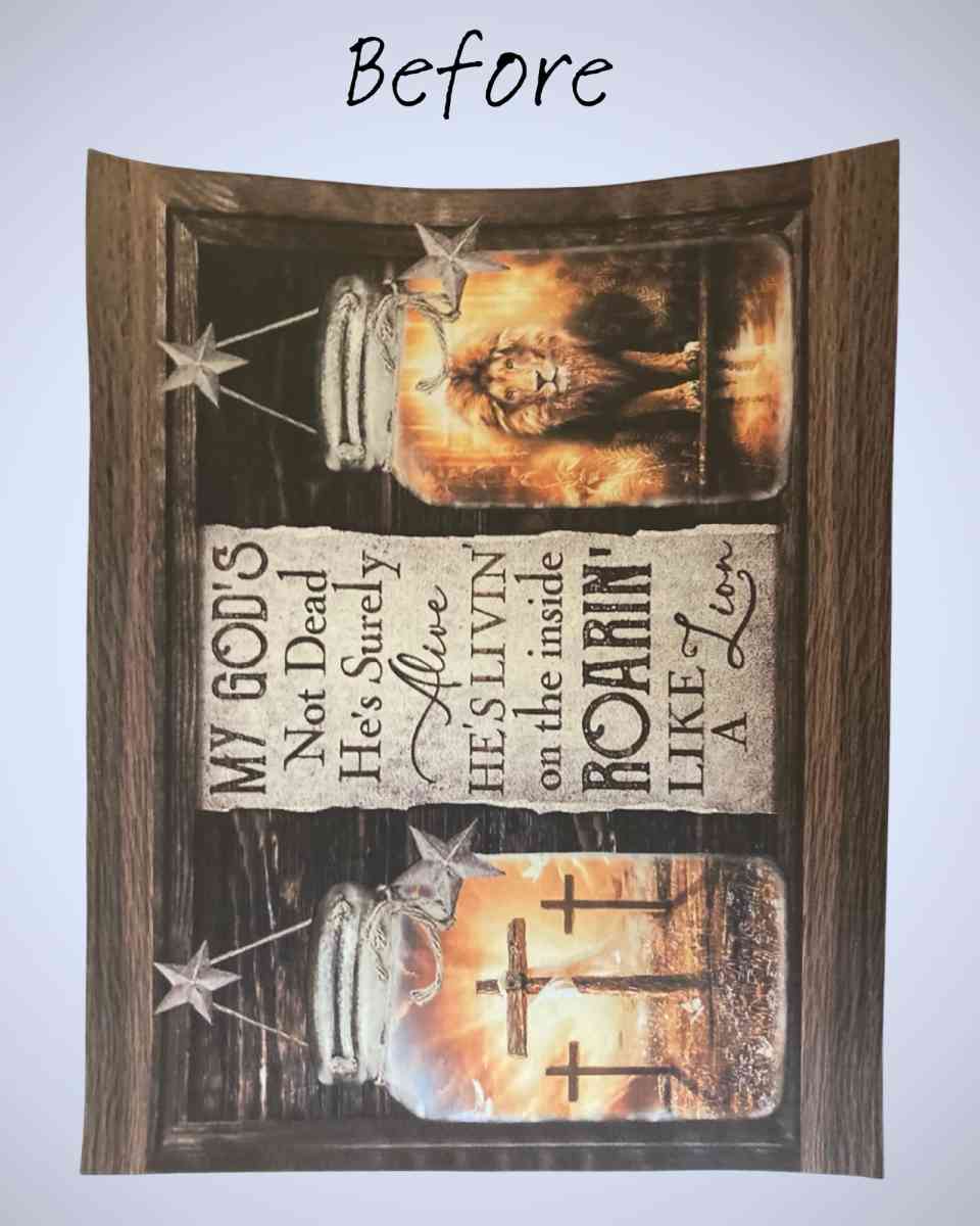 Lion and Lamb In A Jar  Handmade Canvas Art