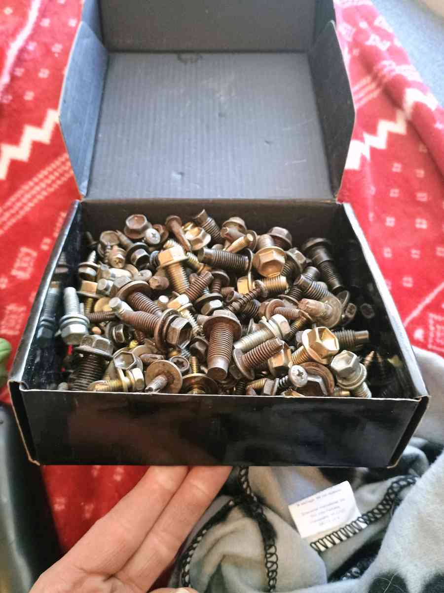 4Runner limited edition OEM bolts