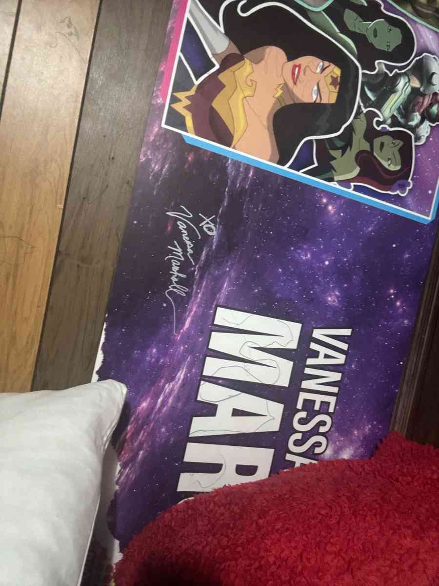 These are big panels signed by the actress or voice actor