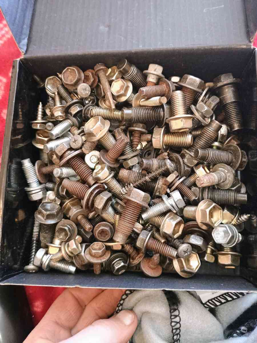 4Runner limited edition OEM bolts