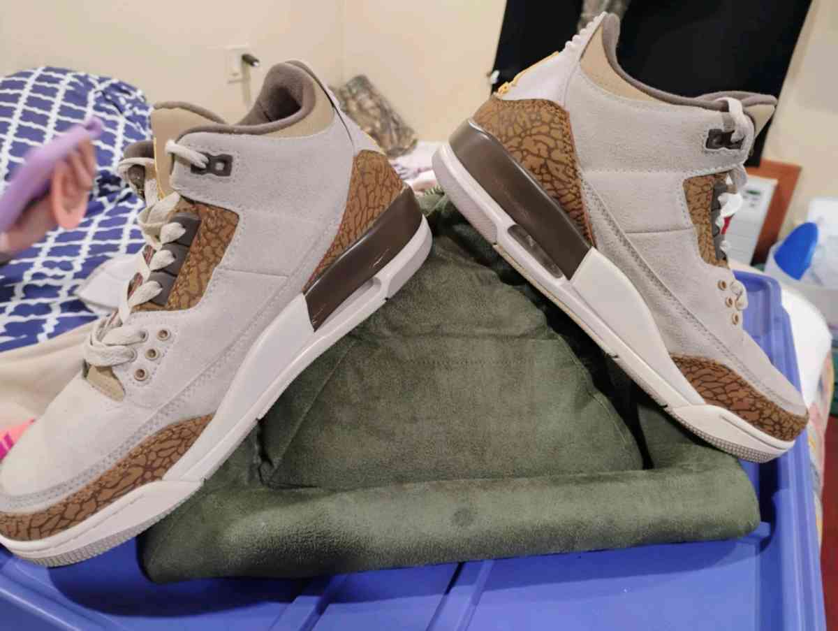 Jordan retro 3 palomino