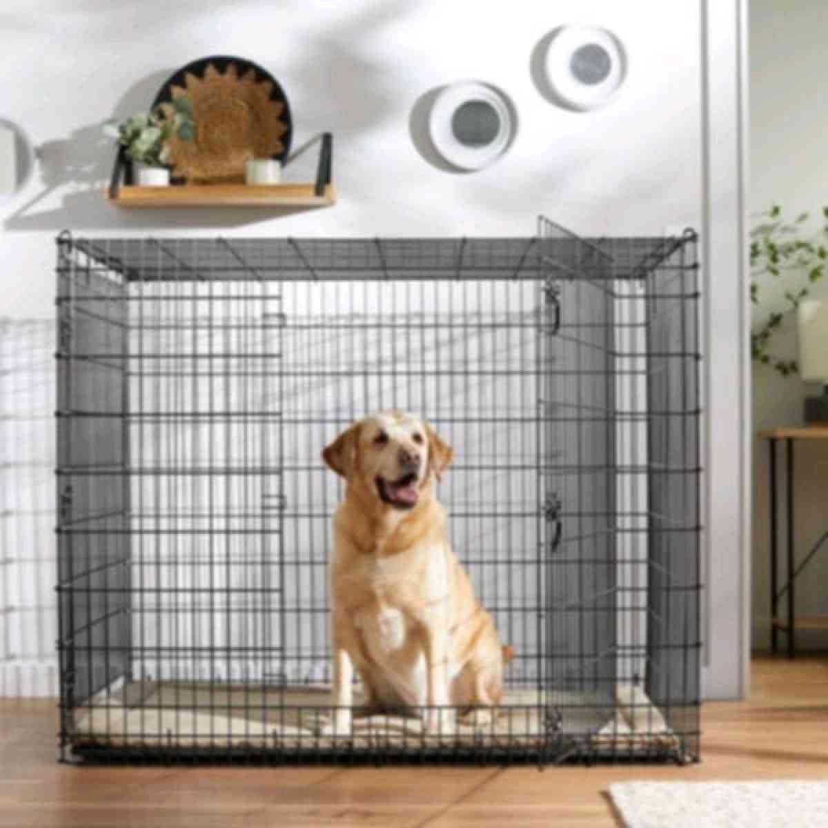 chewy large dog cage 36 by 22