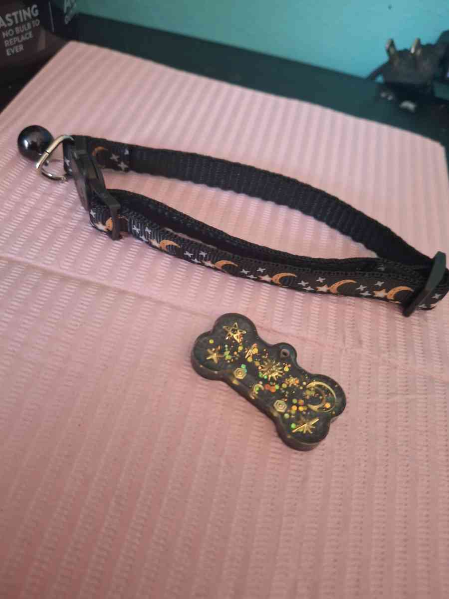 Collar y tag id Negro