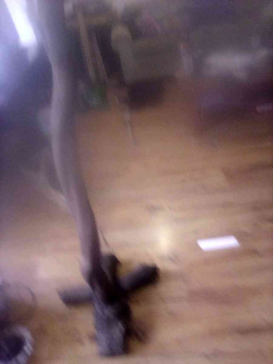 custom driftwood floor lamp