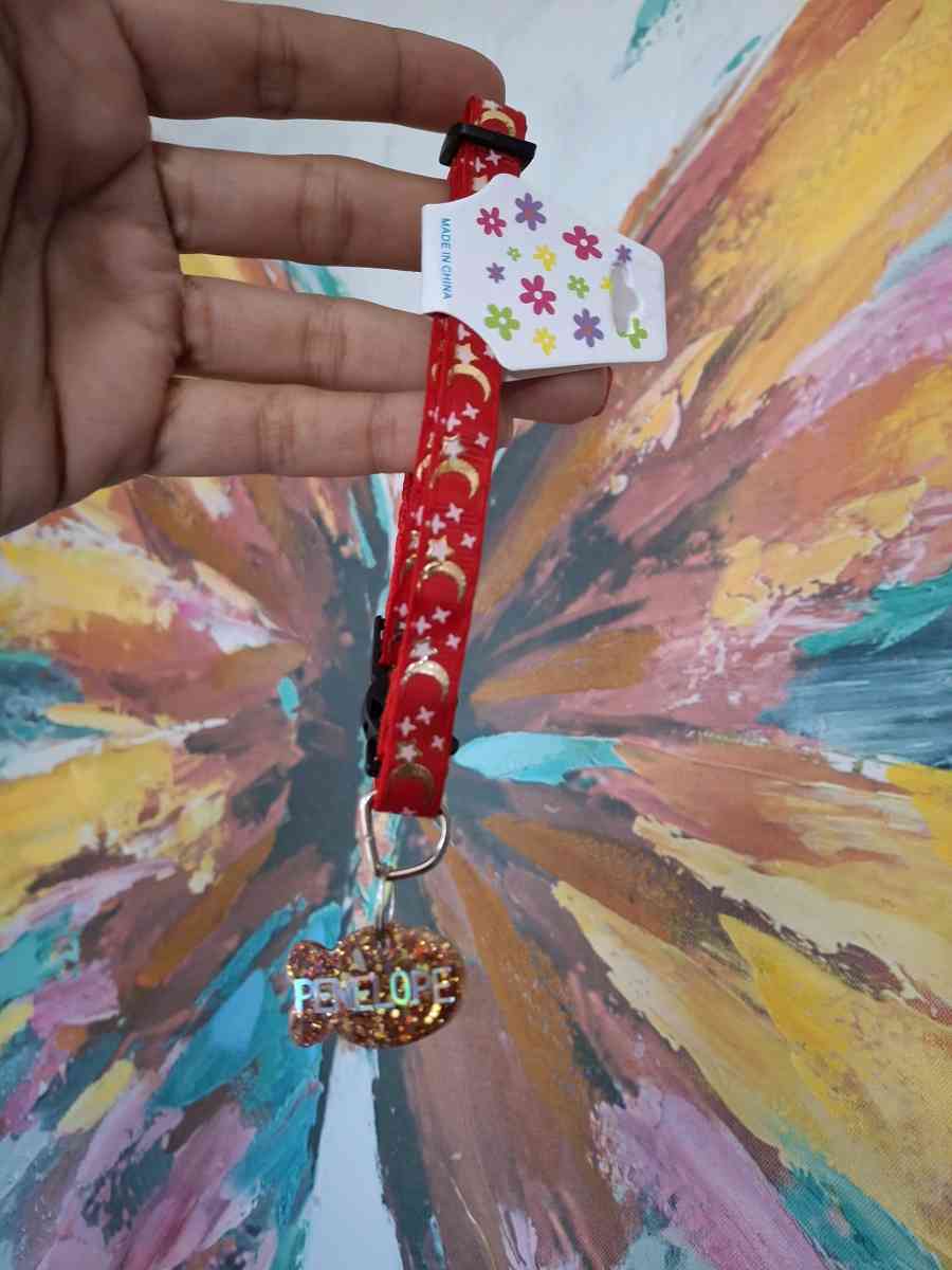 collar y id tag rojo