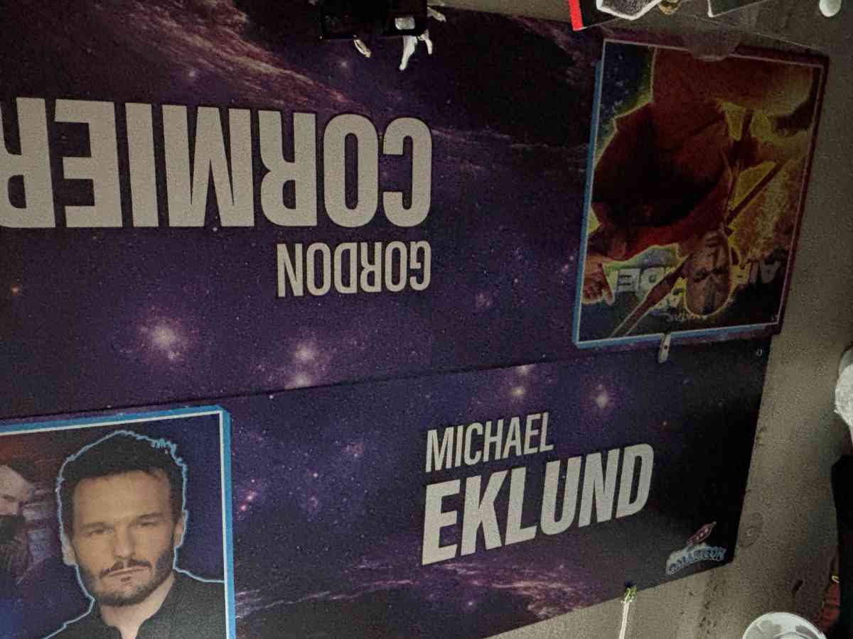 These are big panels signed by the actress or voice actor