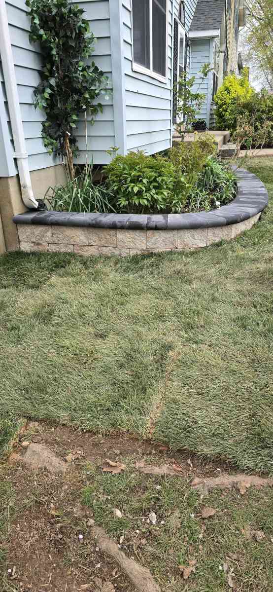 paisajismo y pavimento