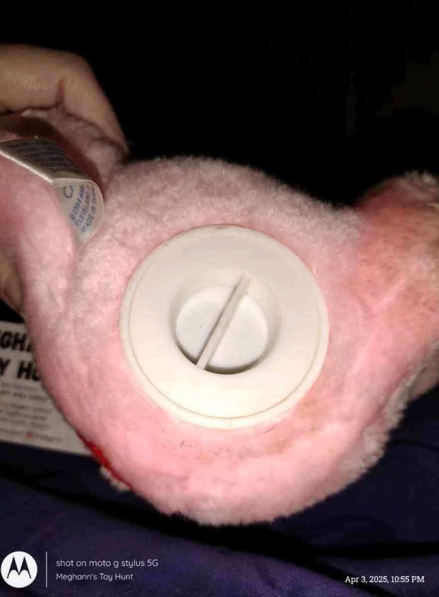 Vtg Care Bears Cheer Bear Plush Coin Bank