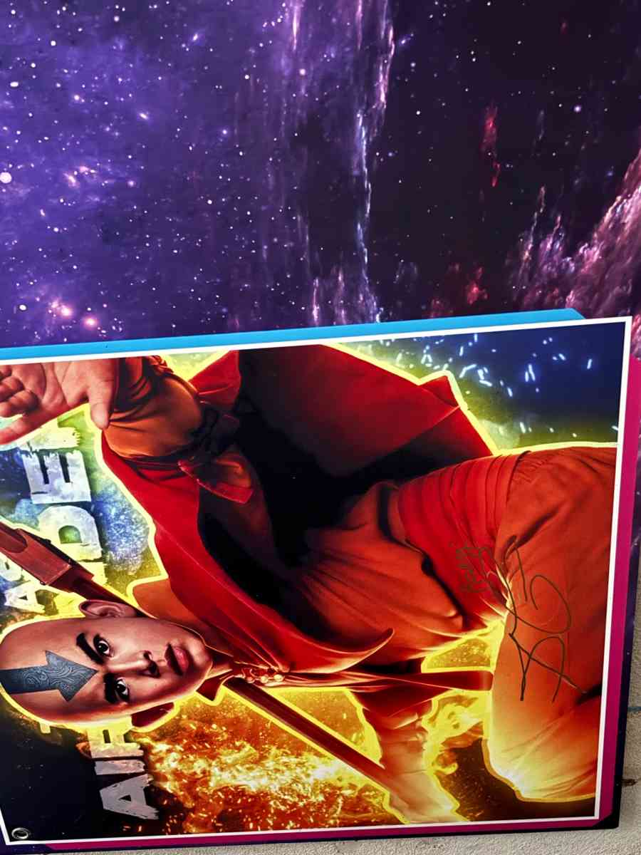 These are big panels signed by the actress or voice actor