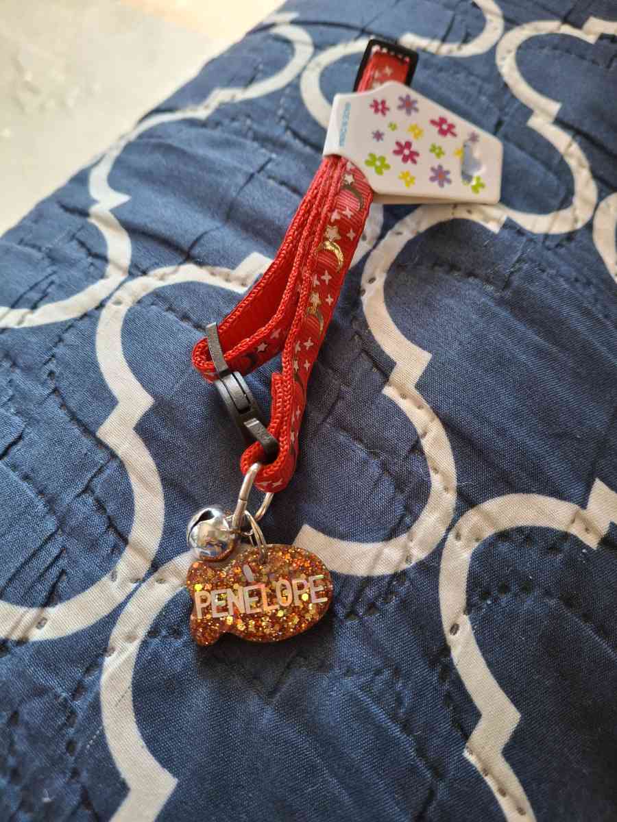 collar y id tag rojo