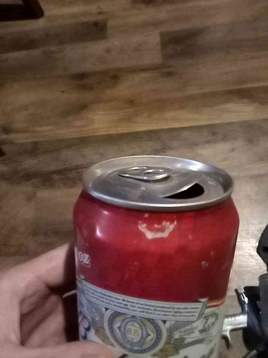 dale earnheart jr beer can