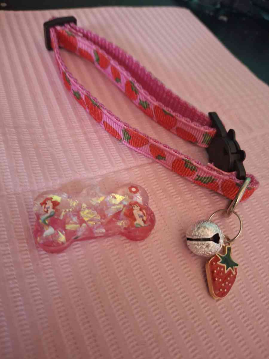 collar y id tag ariel