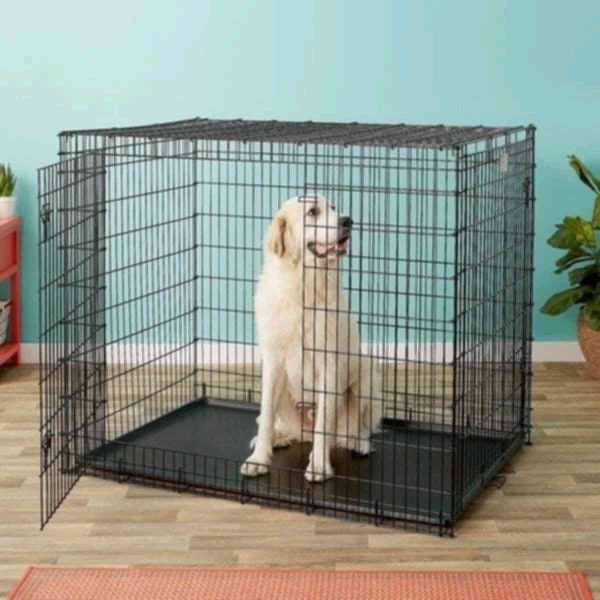 chewy large dog cage 36 by 22