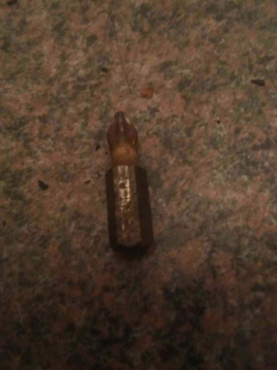 screwdriver bit
