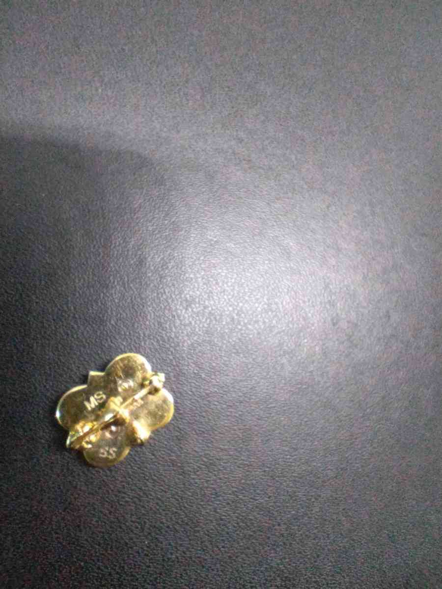 10kt gold Sorority pin