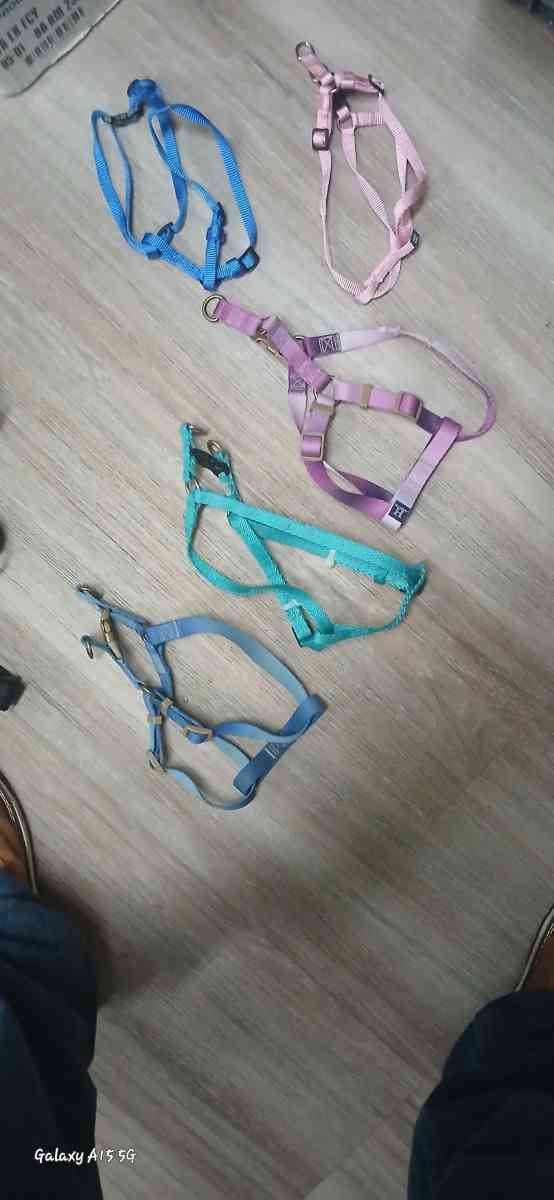harnesses dog size small to large and different types